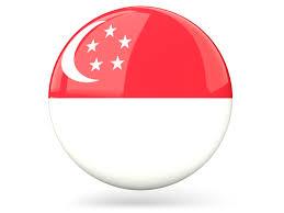 singapore flag button