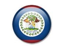 Belize llz flag.jpg