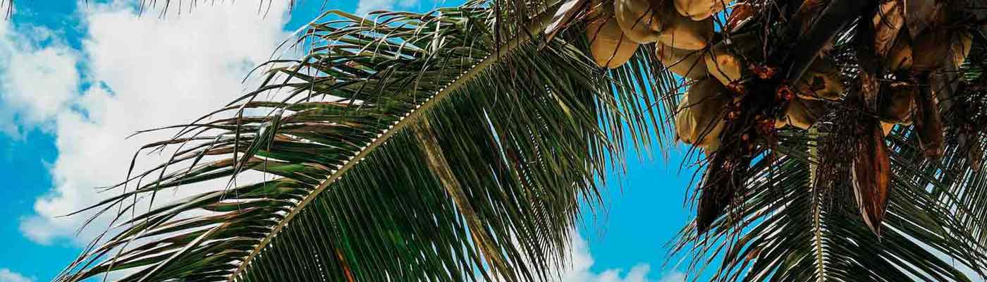 Open an Offshore Account in Panama