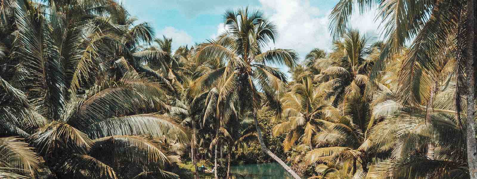 St. Vincent Company Formation