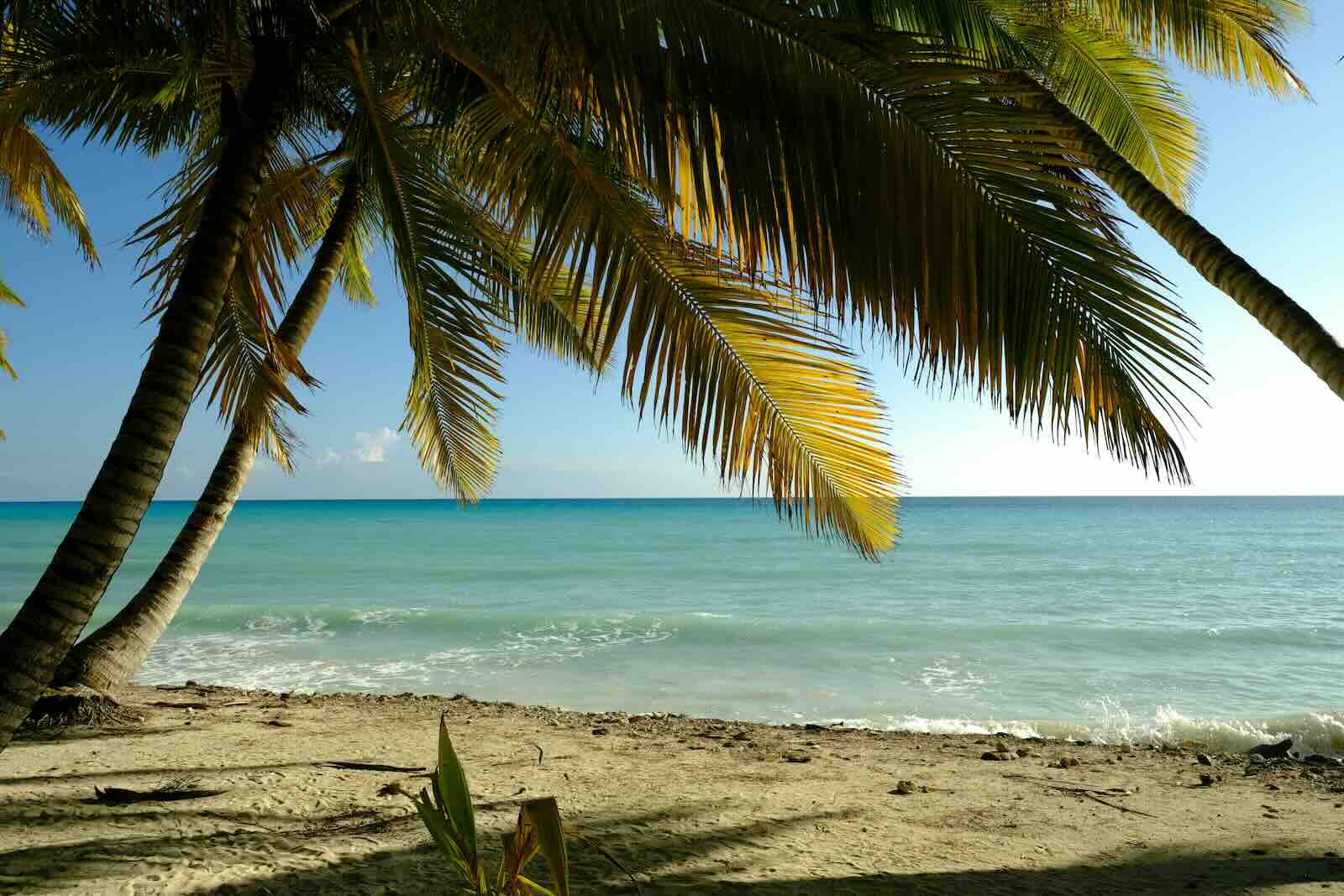 caribbean isalnds.jpg