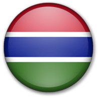 Gambia flag 195x