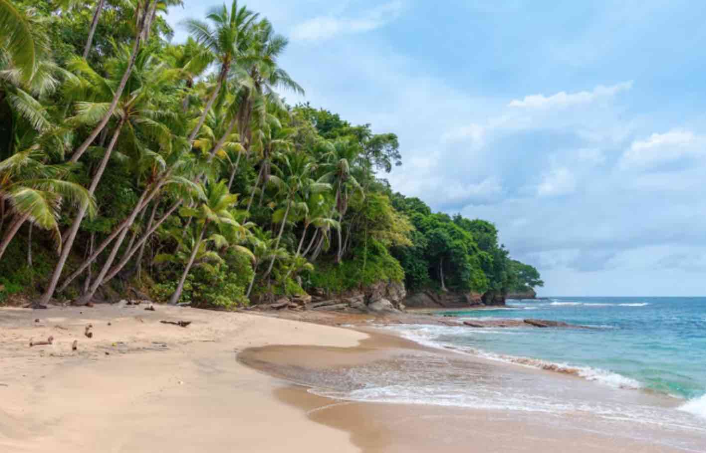 incoporate in a tax haven