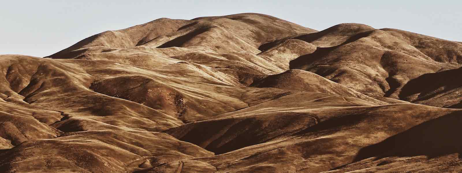 Land Trust vs Living Trust: Differences Explained