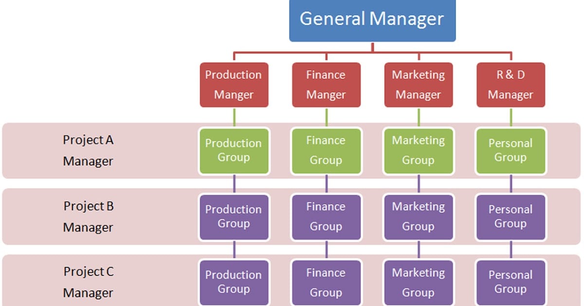 Matrix Organization Structure