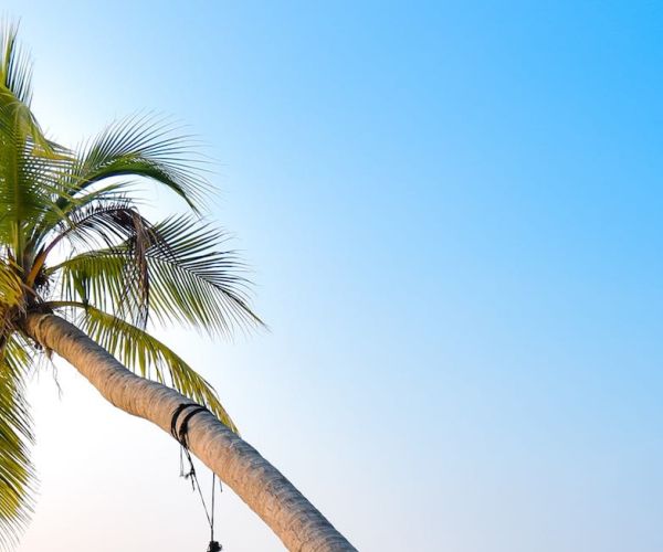 Why Do Offshore Companies Need to Prioritize Asset Protection