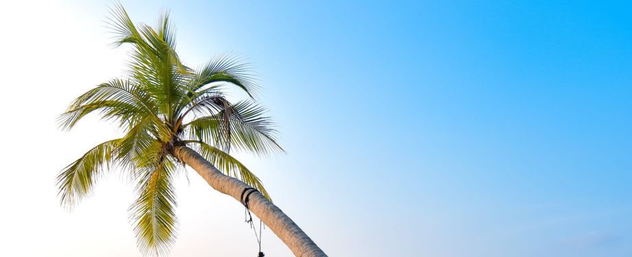 Offshore Tax Free Company for Digital Nomads & Perpetual Travelers
