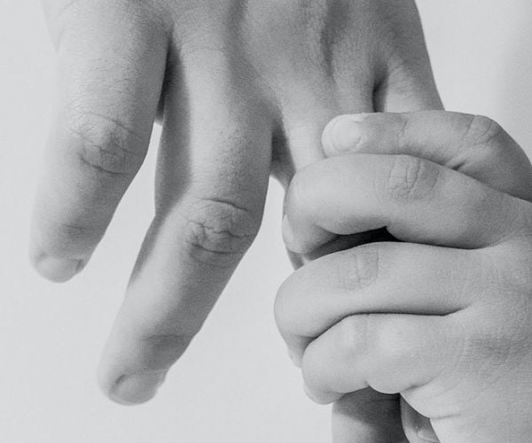 Family Limited Partnership For Asset Protection & Estate Planning