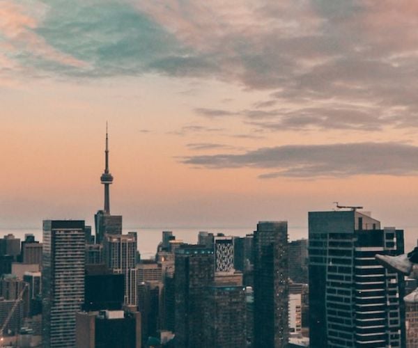 How Offshore Companies Can Build Credibility in New Global Markets