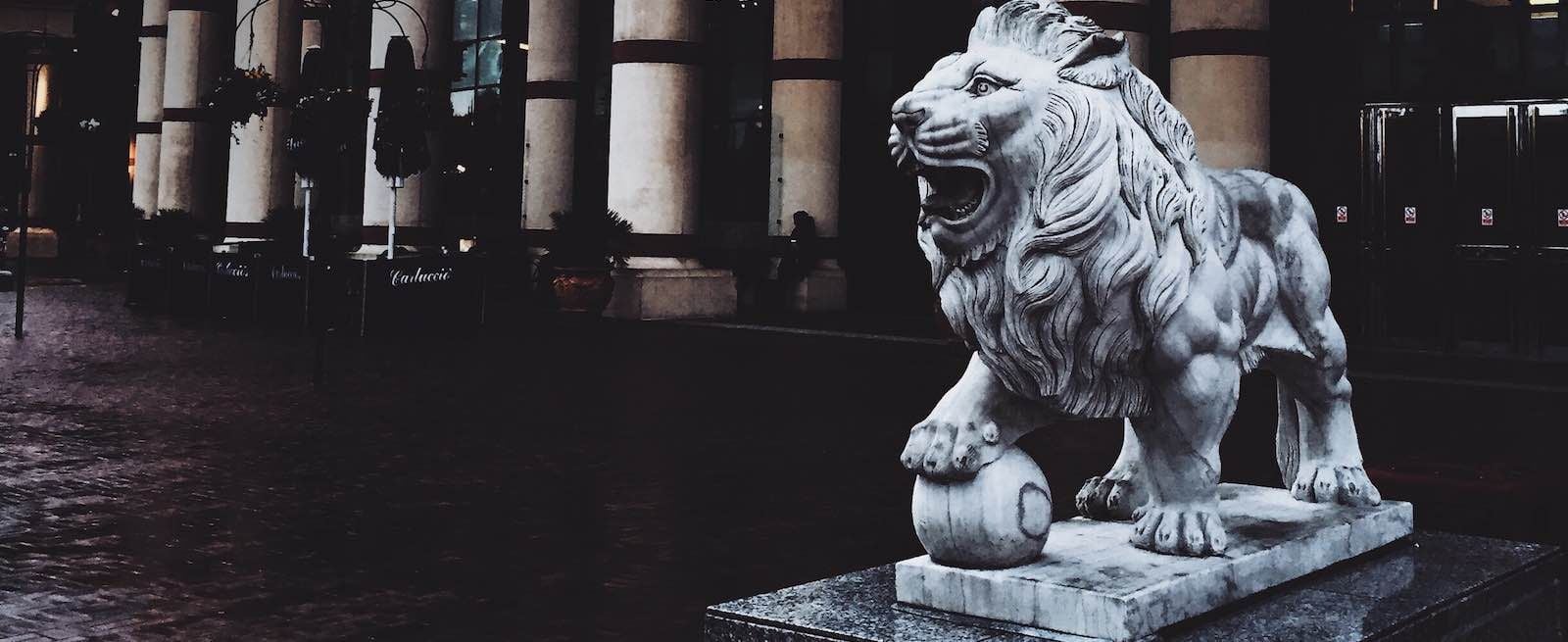 Offshore Protection Reviews