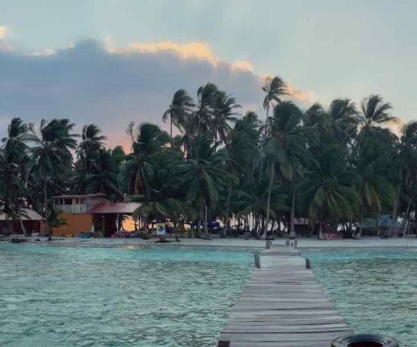 Controlled Foreign Corporation (CFC) Laws