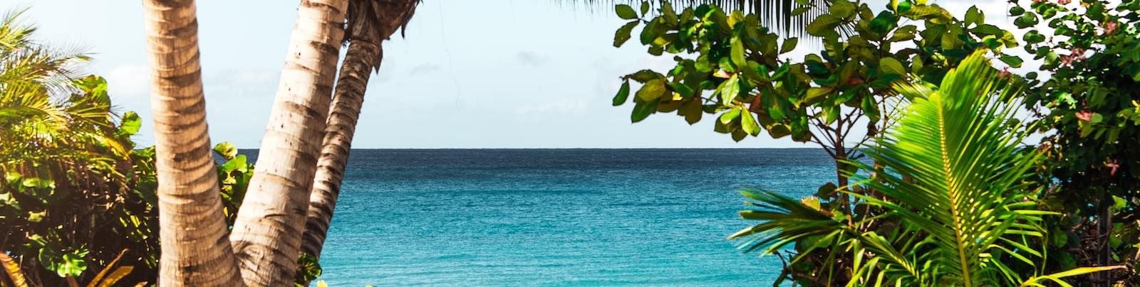 Moving Your Business to a Tax Haven Legally