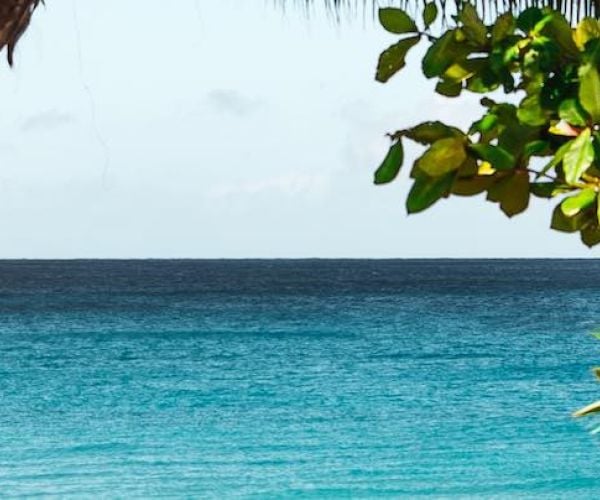 Offshore NFT: How to Make Money from NFTs w/ A Tax-Free Offshore Company