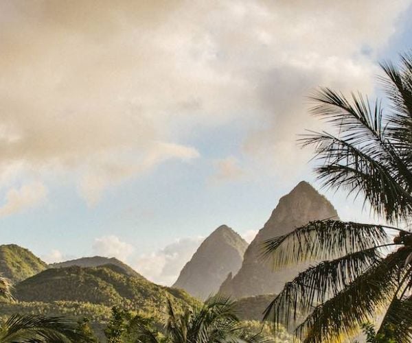 How Much Does a Cook Islands Trust Cost?