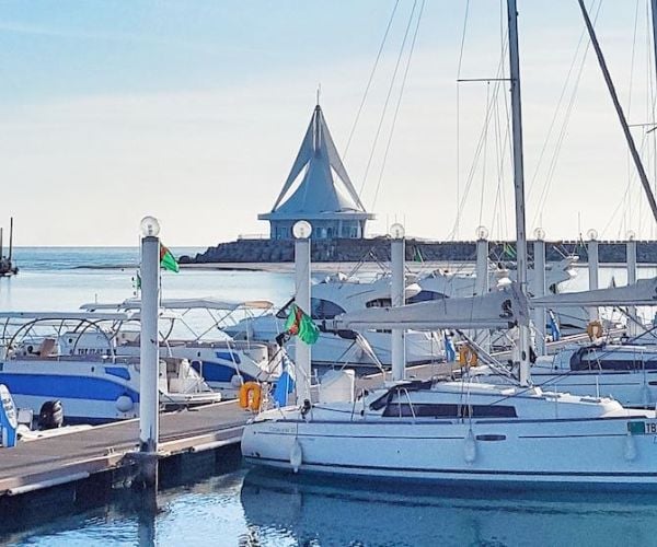 How Much Does It Cost to Set up an Irrevocable Trust? 