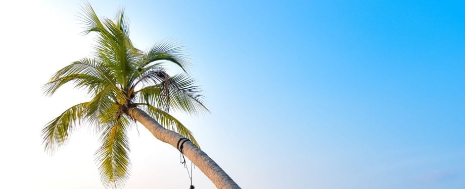 Offshore Tax Free Company for Digital Nomads & Perpetual Travelers